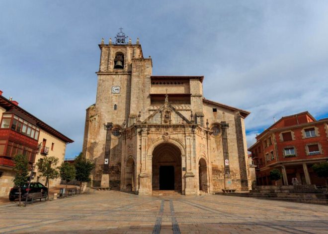 kota di mana, selain itu, mereka membanggakan masa lalu prasejarah dan hutan beech