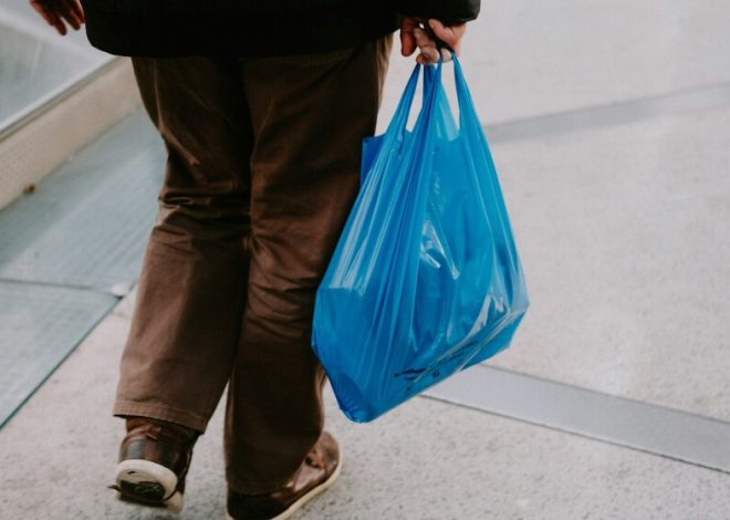Ini adalah keranjang belanja dengan tas termal yang memungkinkan Anda menaiki tangga atau tepi jalan tanpa menggunakan tenaga
